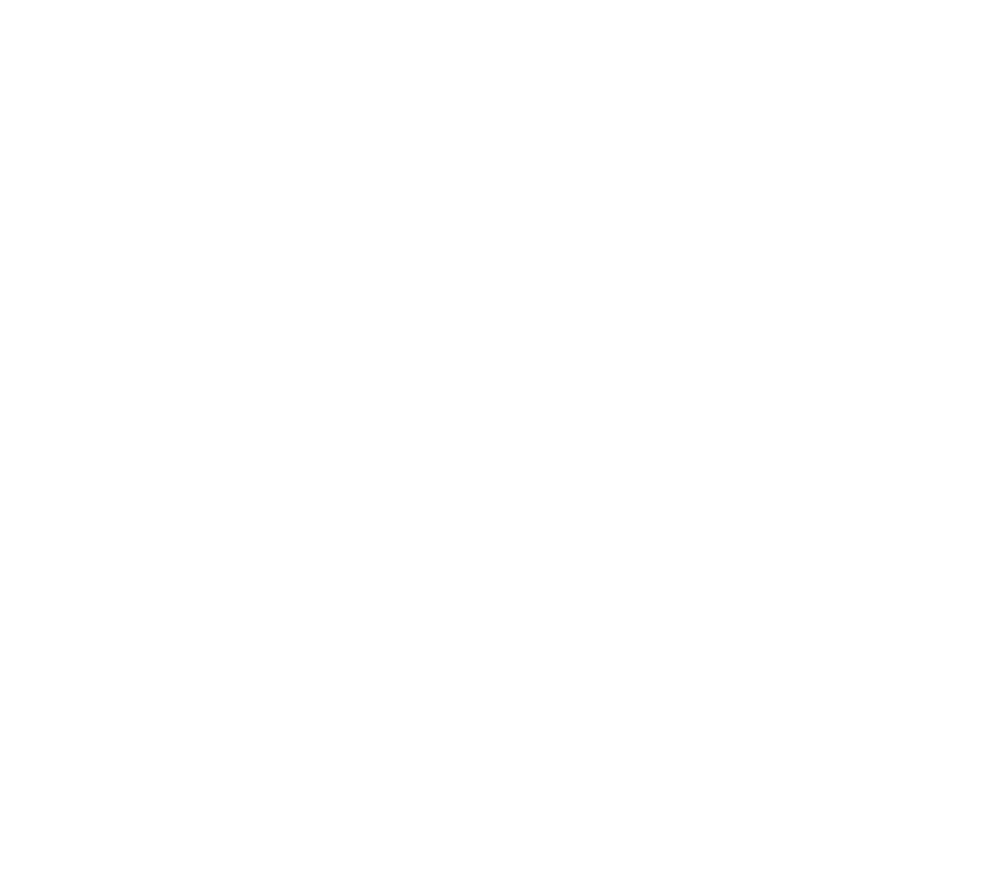 Net Source Recruiting Logo